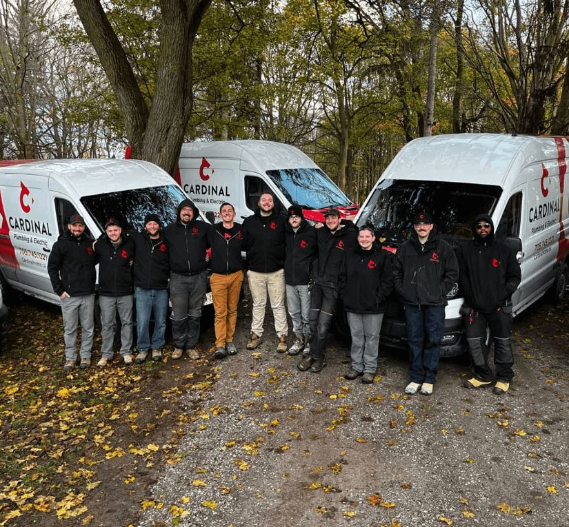 Cardinal Services Team